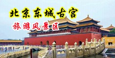 女人抠逼中国北京-东城古宫旅游风景区